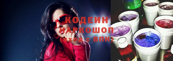 мдпв Гусь-Хрустальный