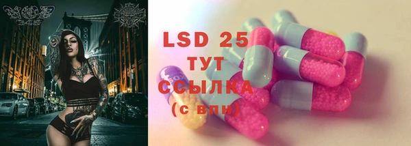 таблы Гусев
