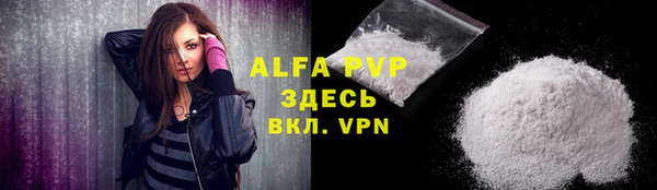 мдпв Гусь-Хрустальный