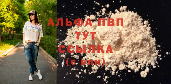 мдпв Гусь-Хрустальный