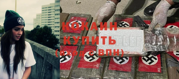 таблы Гусев