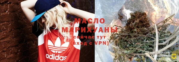 мдпв Гусь-Хрустальный