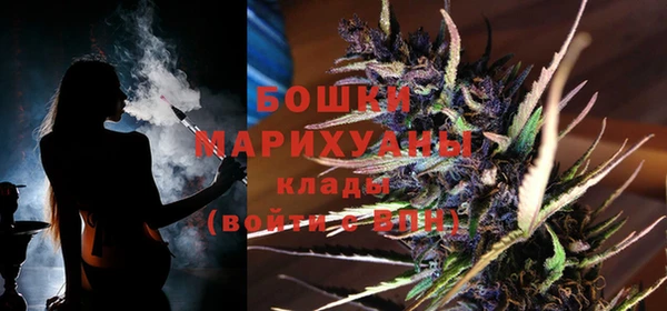 мдпв Гусь-Хрустальный