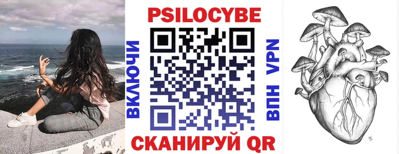 Купить где  Сорск  Псилоцибиновые грибы Cubensis 